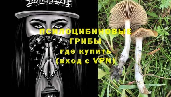 ГАЛЛЮЦИНОГЕННЫЕ ГРИБЫ Магас
