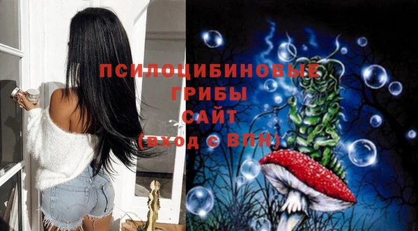 a pvp Майский