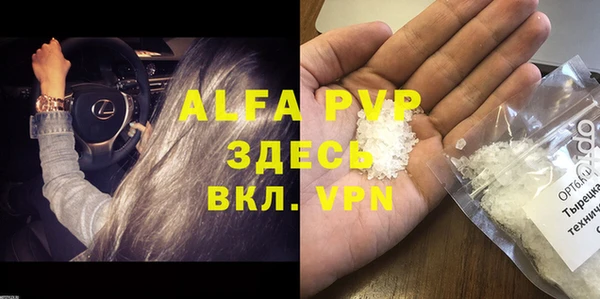 ГАЛЛЮЦИНОГЕННЫЕ ГРИБЫ Магас