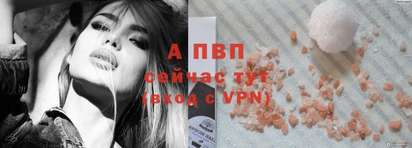 ГАЛЛЮЦИНОГЕННЫЕ ГРИБЫ Магас