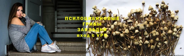 a pvp Майский