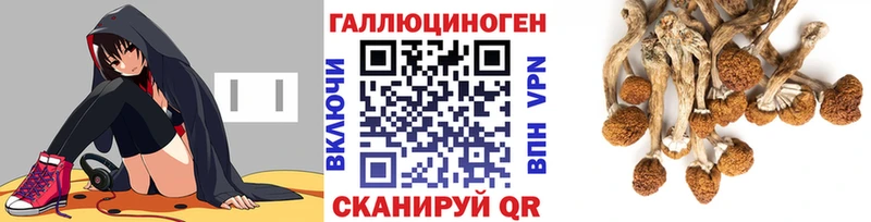 Купить  Соликамск  Псилоцибиновые грибы MAGIC MUSHROOMS 